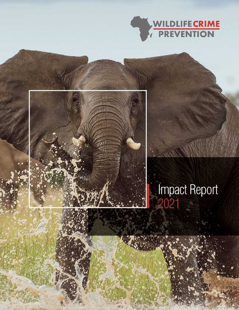 Impact report 2021