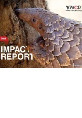 Impact Report