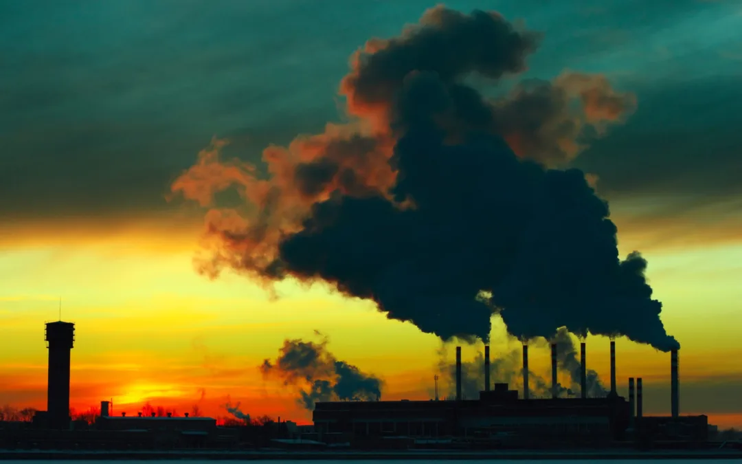Carbon Credits: What They Mean for Zambia’s Climate and Communities
