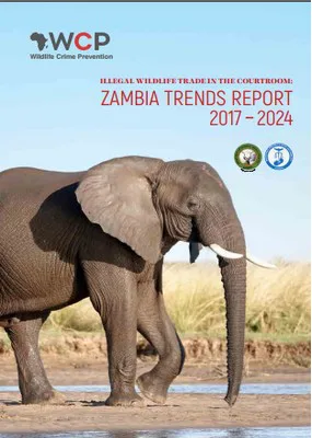 IWT in the Courtroom Zambia Trends Report