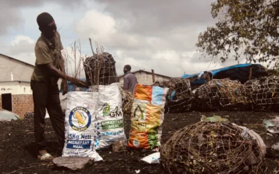 Black Gold, Lost Childhoods – How Poverty is Fueling Child Labour in Monze’s Charcoal Trade