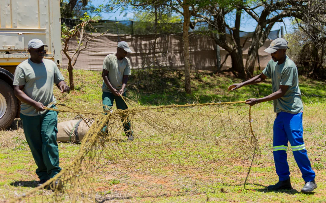 Strengthening Community-Led Conservation: WCP Zambia Supports Learning Exchange and WPAZ’s First Game Ranch Field Day