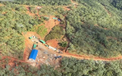 Mining Zambia’s Carbon Forests