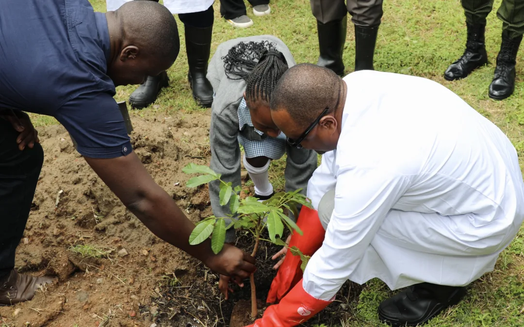 NPA and Partners Mark International Day of Forests with Pupils at Nkhwazi Primary School