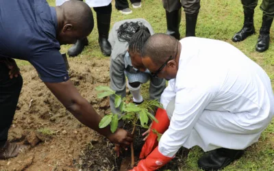 NPA and Partners Mark International Day of Forests with Pupils at Nkhwazi Primary School